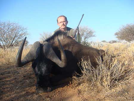 Onduri Black Wildebeest