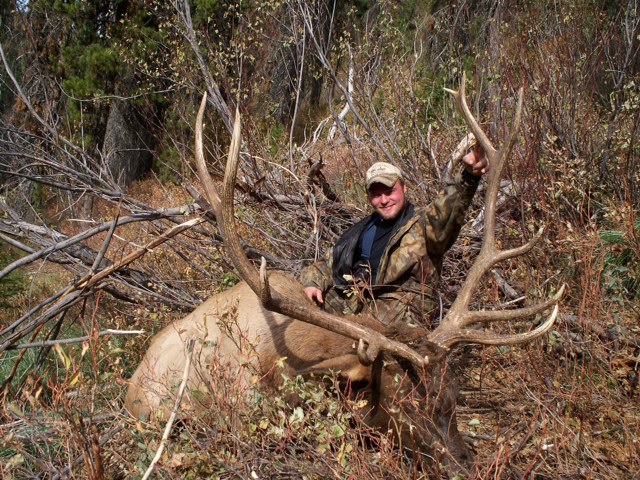 RussellPond Elk2
